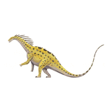 Amargasaurus X-Ray 3D Collectible Dinosaur Card - Permia