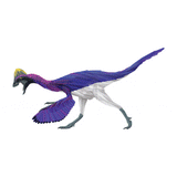 Anzu X-Ray 3D Collectible Dinosaur Card - Permia