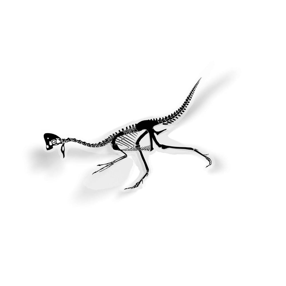 Anzu Fossil Dinosaur Sticker  - Permia