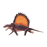 Dimetrodon X-Ray 3D Collectible Synapsid Card  - Permia