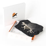 Signature Permia Dinosaur Gift Box - Permia