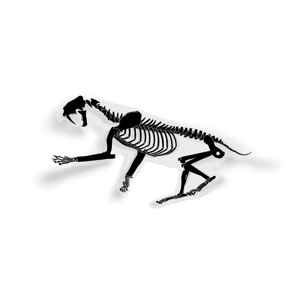 Smilodon Fossil Saber-Toothed Cat Sticker  - Permia