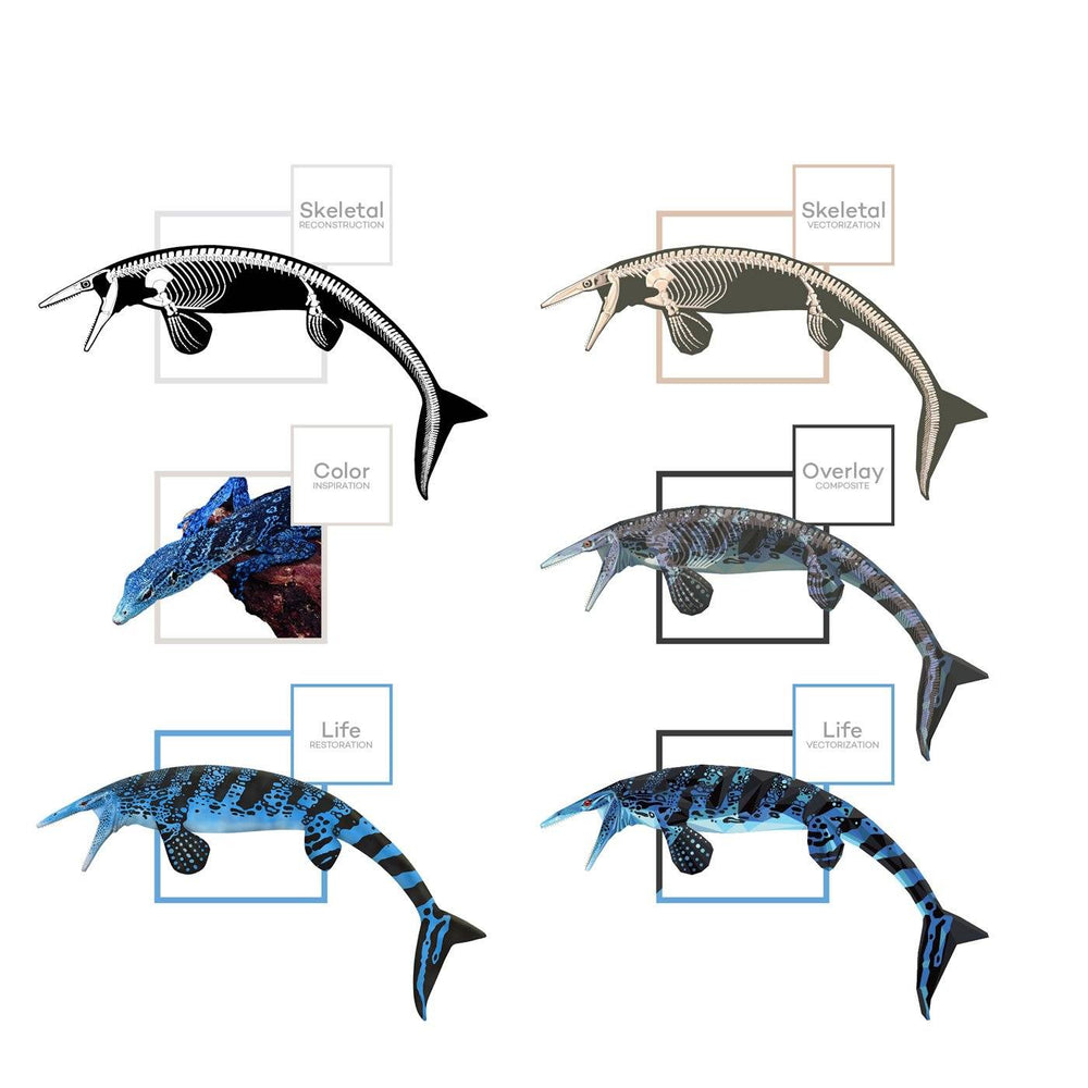Tylosaurus Mosasaur Art Evolution  - Permia