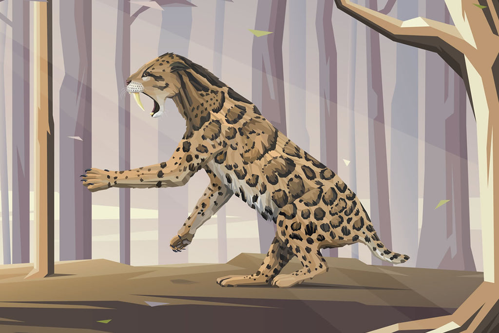 Introducing Smilodon The Saber Toothed