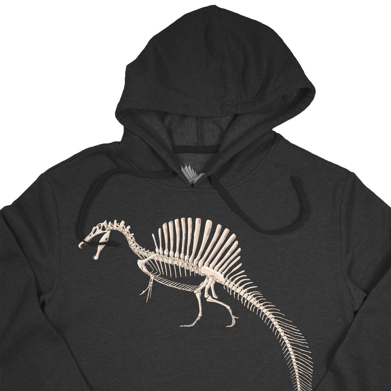 Bonebed Dinosaur Hoodies
