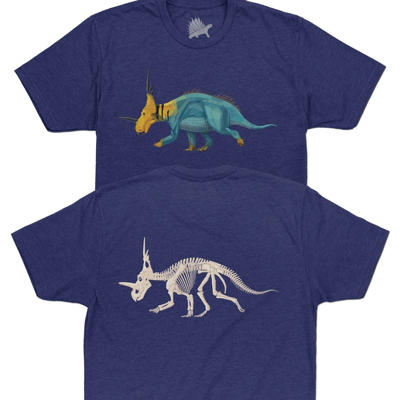 Dinosaur Graphic T-Shirts