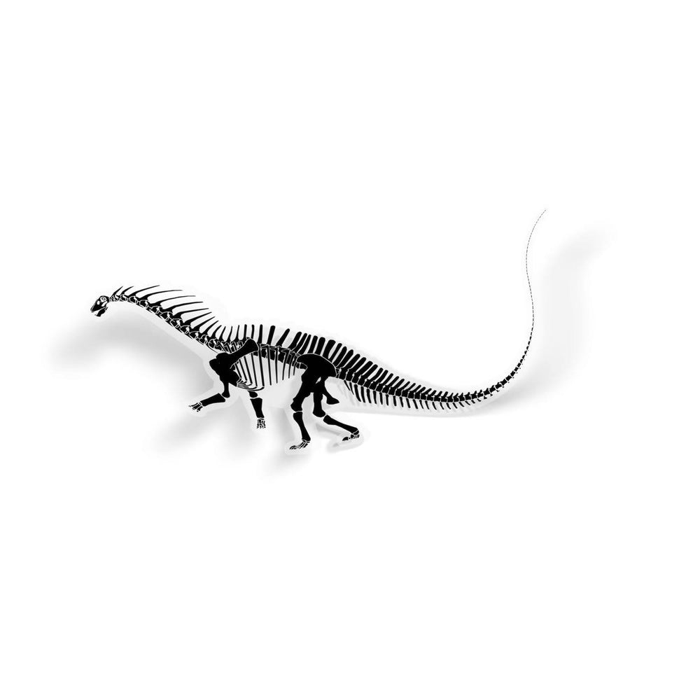 Amargasaurus Fossil Dinosaur Sticker  - Permia
