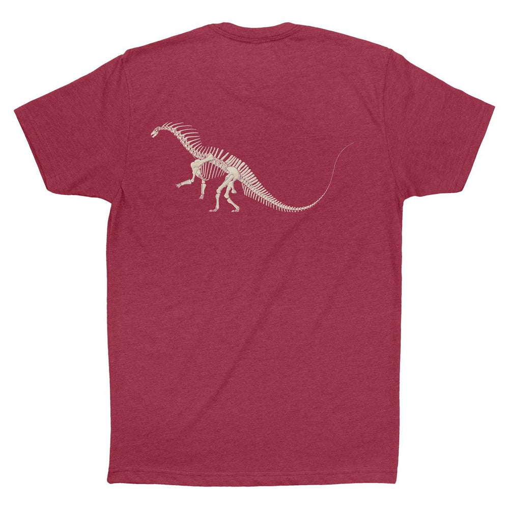 shilling lyserød Ambitiøs Amargasaurus T-Shirt - Unique Dinosaur Shirts for Adults - XS-2XL – Permia