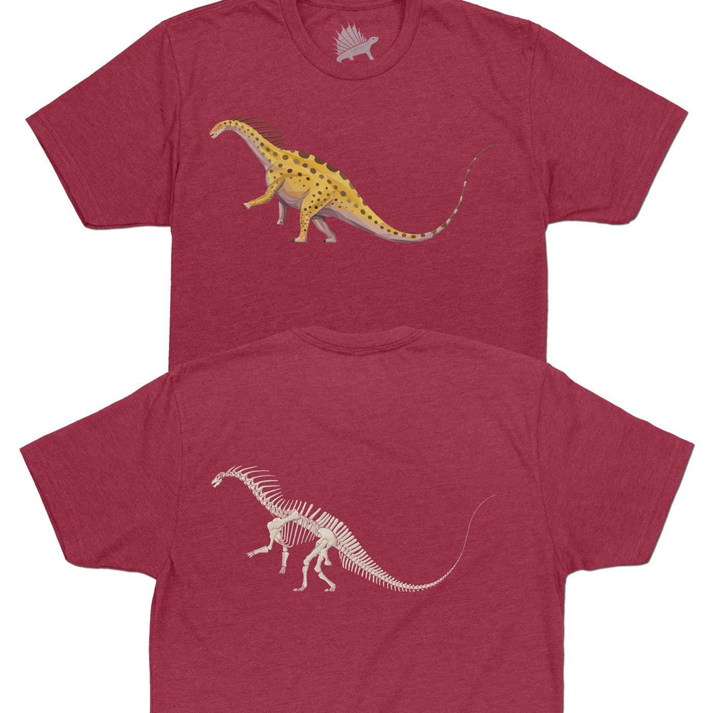 Amargasaurus Fossil Fusion™ Adult Dinosaur T-Shirt Crimson - Permia