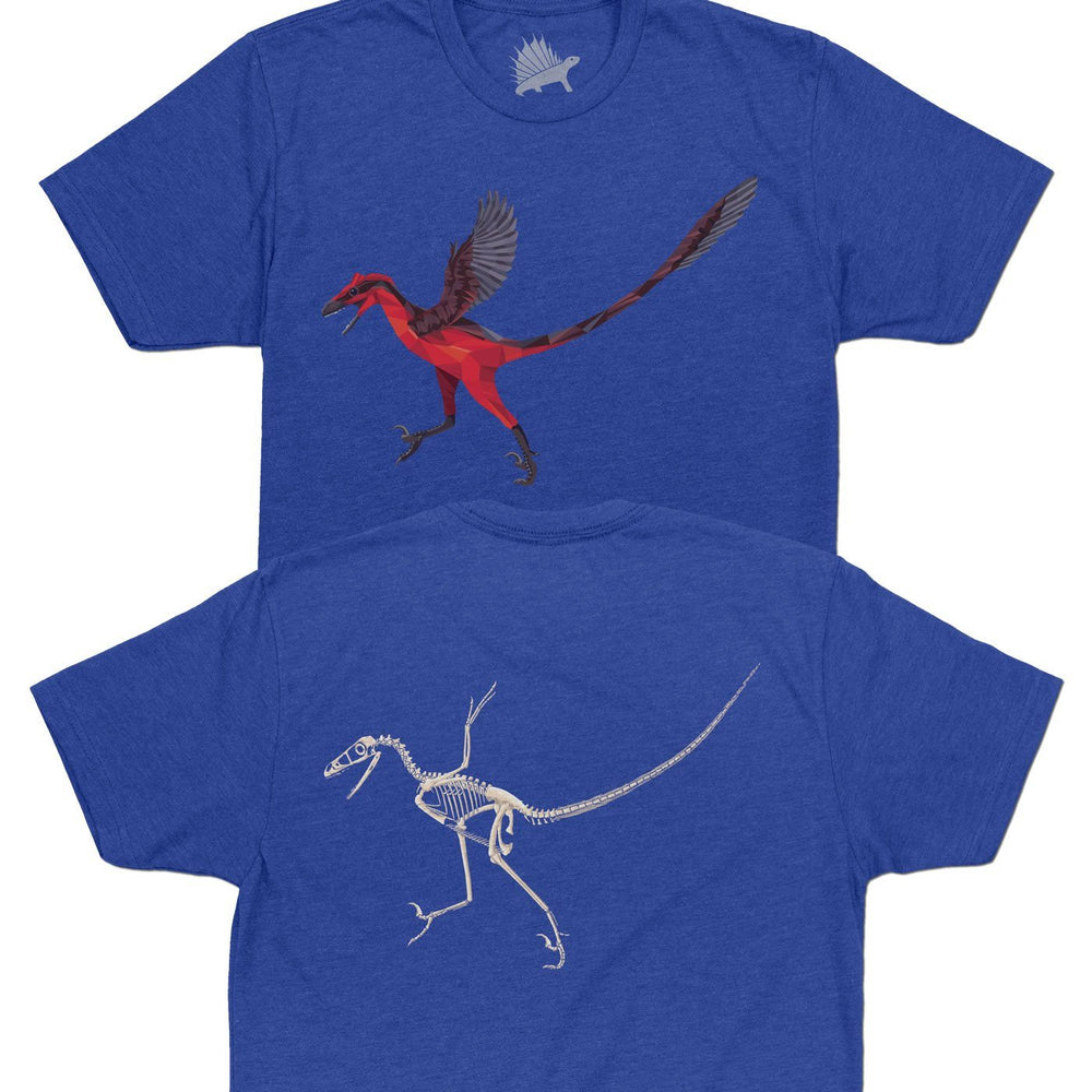 Bambiraptor Fossil Fusion™ Adult Dinosaur T-Shirt Royal Blue - Permia