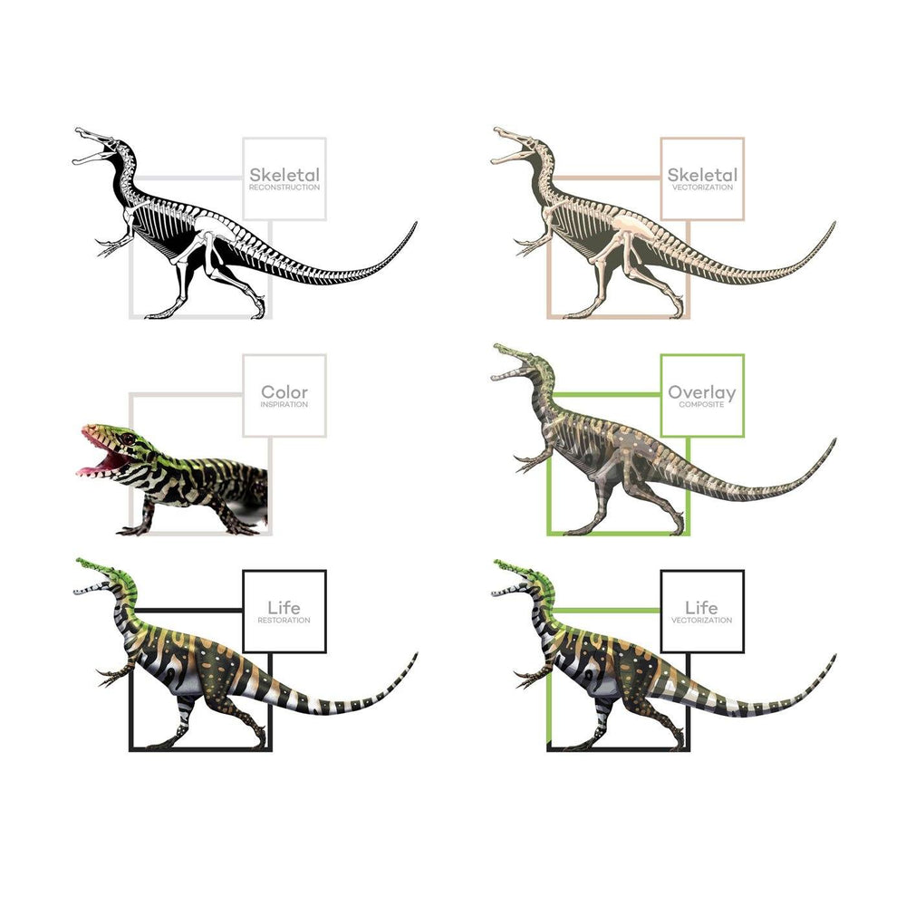 Baryonyx Dinosaur Art Evolution  - Permia