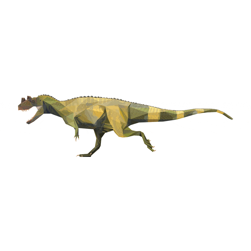 Ceratosaurus X-Ray 3D Collectible Dinosaur Card  - Permia