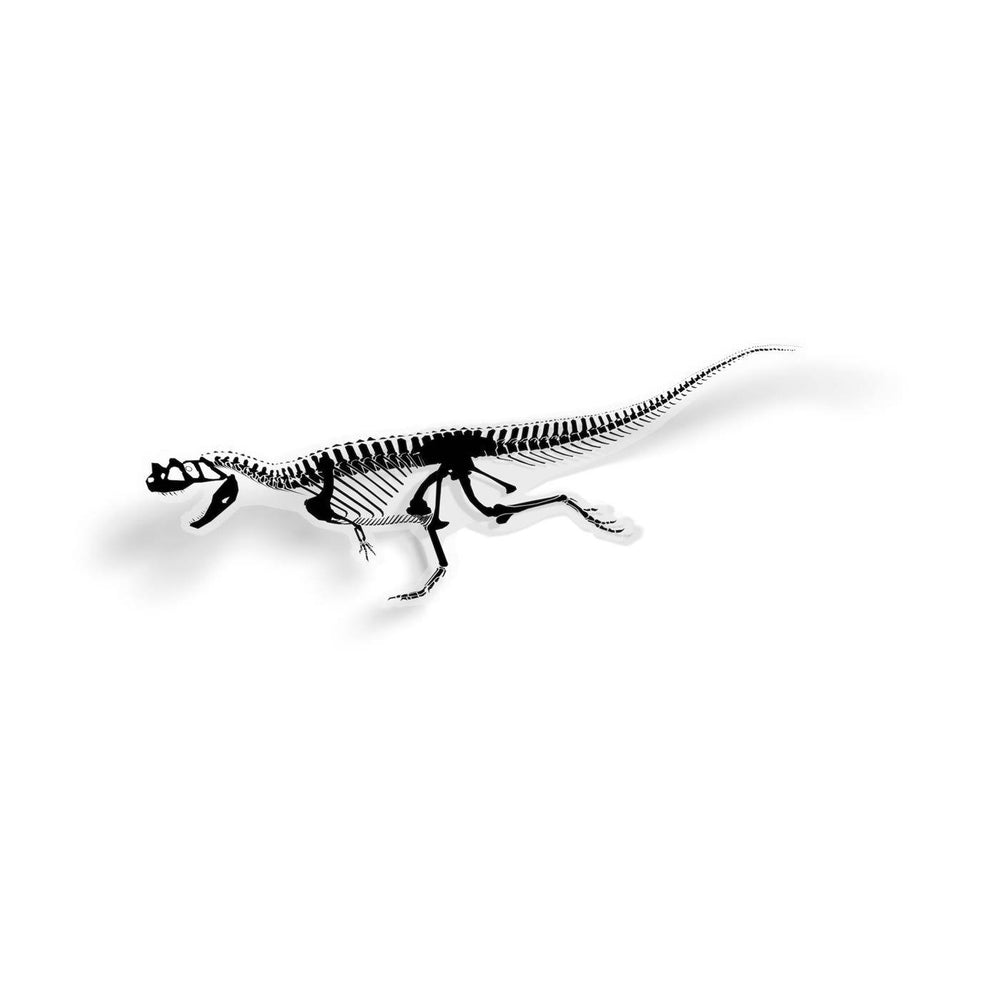 Ceratosaurus Fossil Dinosaur Sticker  - Permia