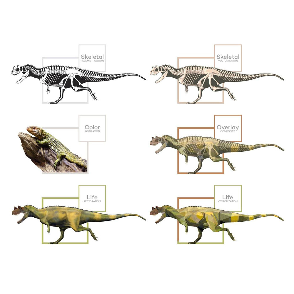 Ceratosaurus Dinosaur Art Evolution  - Permia