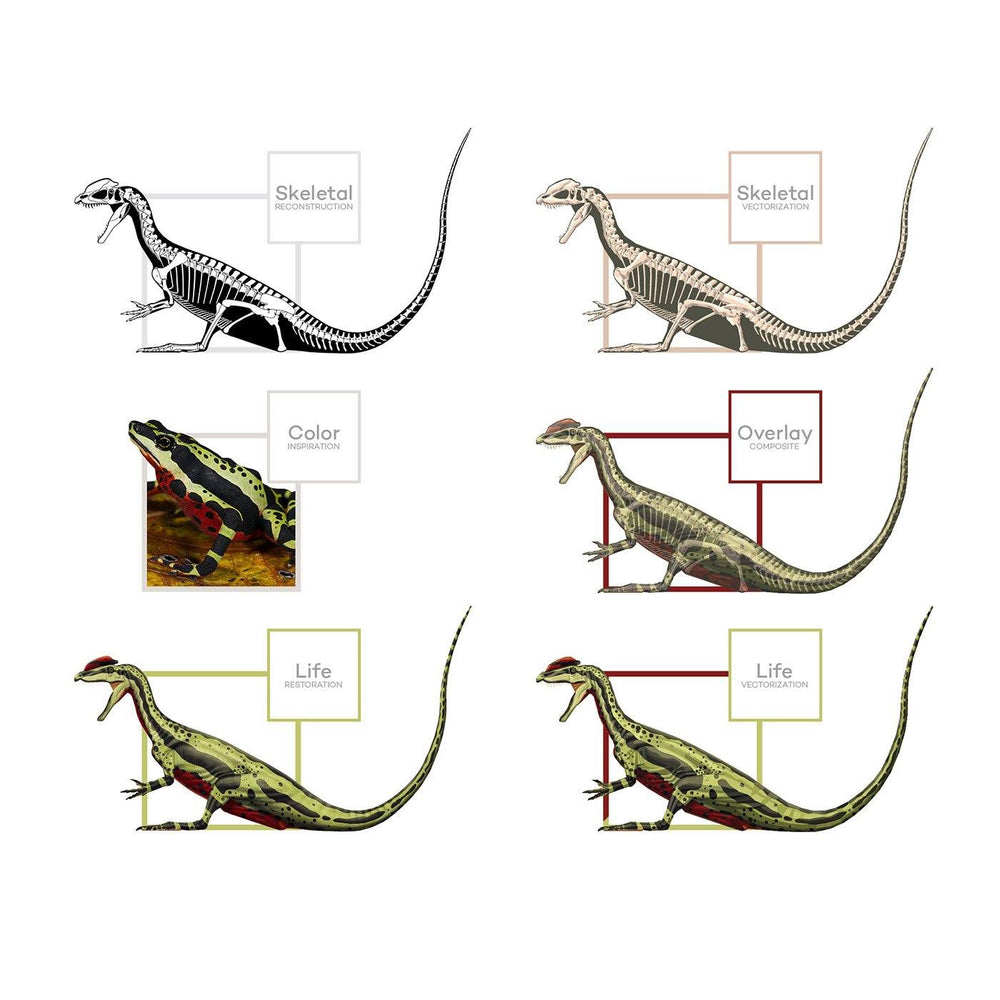 Dilophosaurus Dinosaur Art Evolution  - Permia