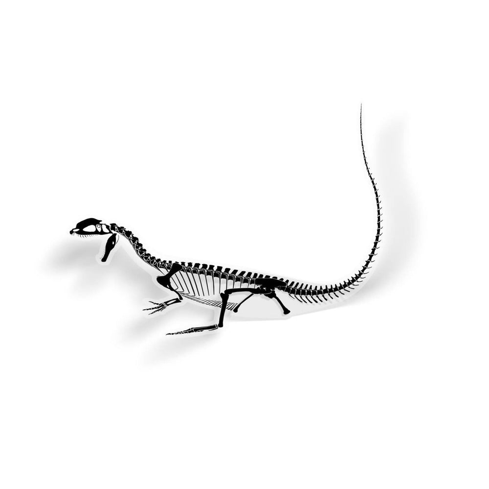 Dilophosaurus Fossil Dinosaur Sticker  - Permia