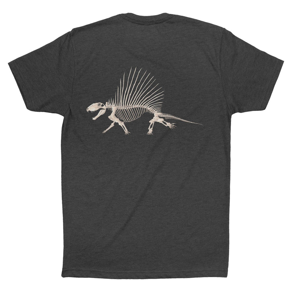 Dimetrodon Fossil Fusion™ Adult Synapsid T-Shirt  - Permia