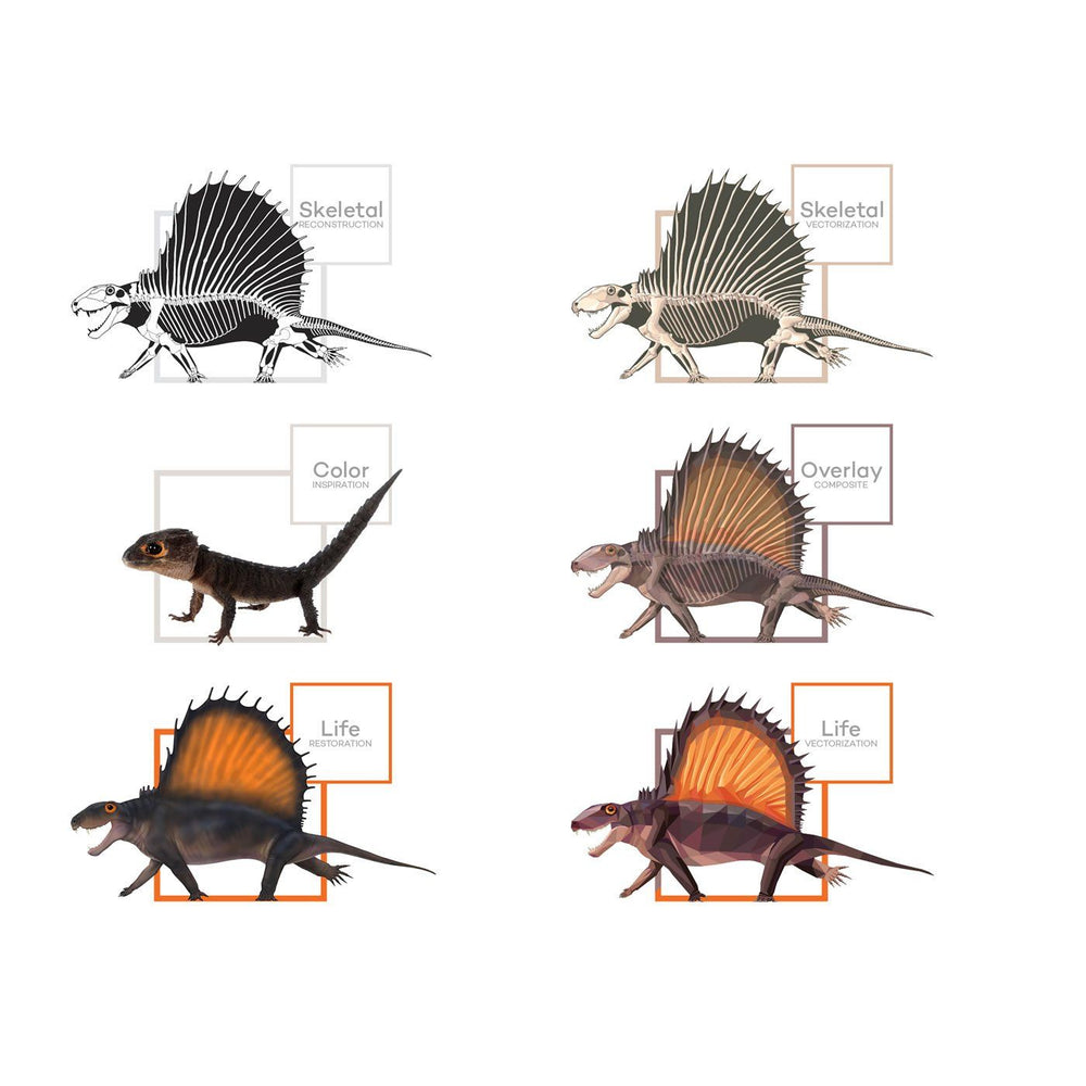 Dimetrodon Synapsid Art Evolution  - Permia