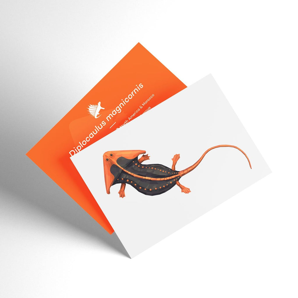Diplocaulus X-Ray 3D Collectible Amphibian Card – Permia