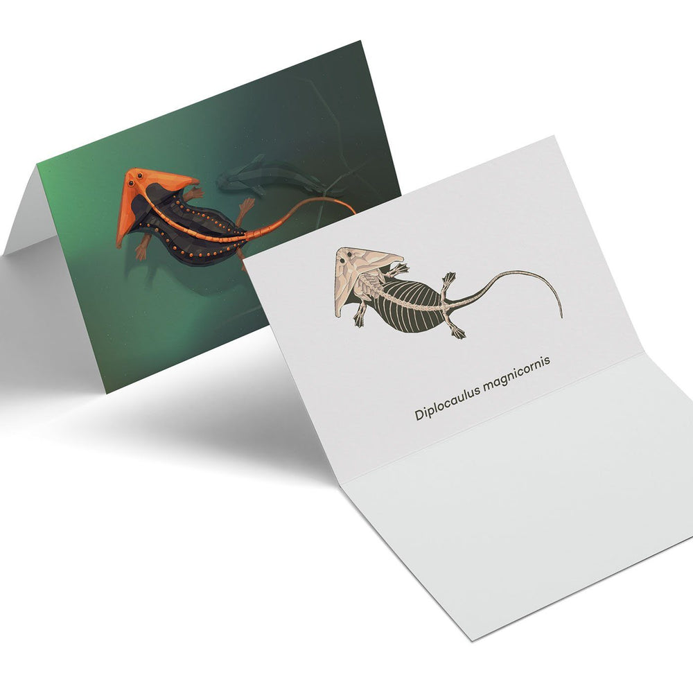 Diplocaulus Paleoscape™ Amphibian Greeting Card  - Permia