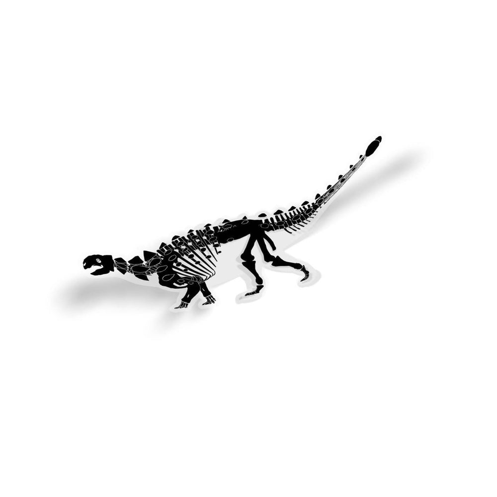 Euoplocephalus Fossil Dinosaur Sticker  - Permia