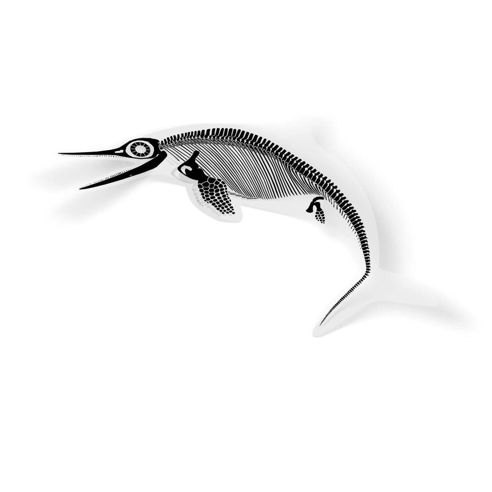 Ophthalmosaurus Fossil Ichthyosaur Sticker  - Permia