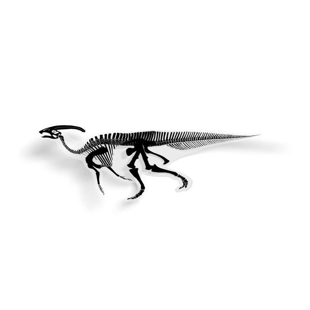 Parasaurolophus Fossil Dinosaur Sticker  - Permia