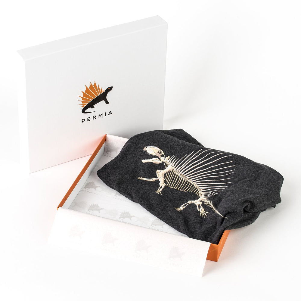 Signature Permia Dinosaur Gift Box  - Permia