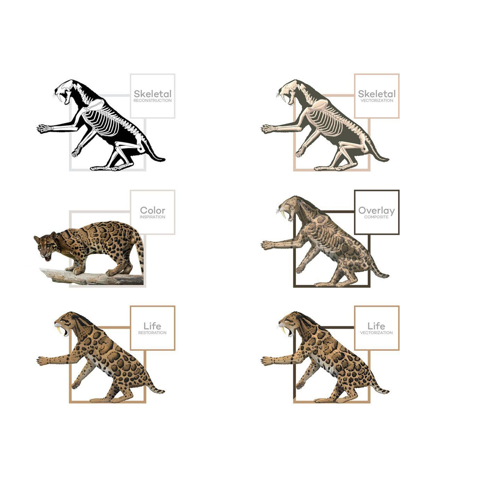 Smilodon Saber-Toothed Cat Art Evolution  - Permia
