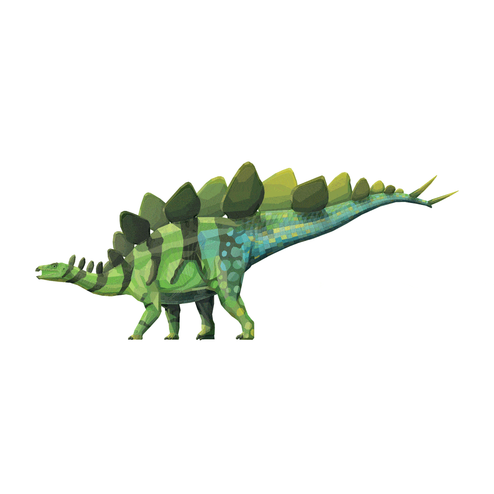Stegosaurus X-Ray 3D Collectible Dinosaur Card  - Permia