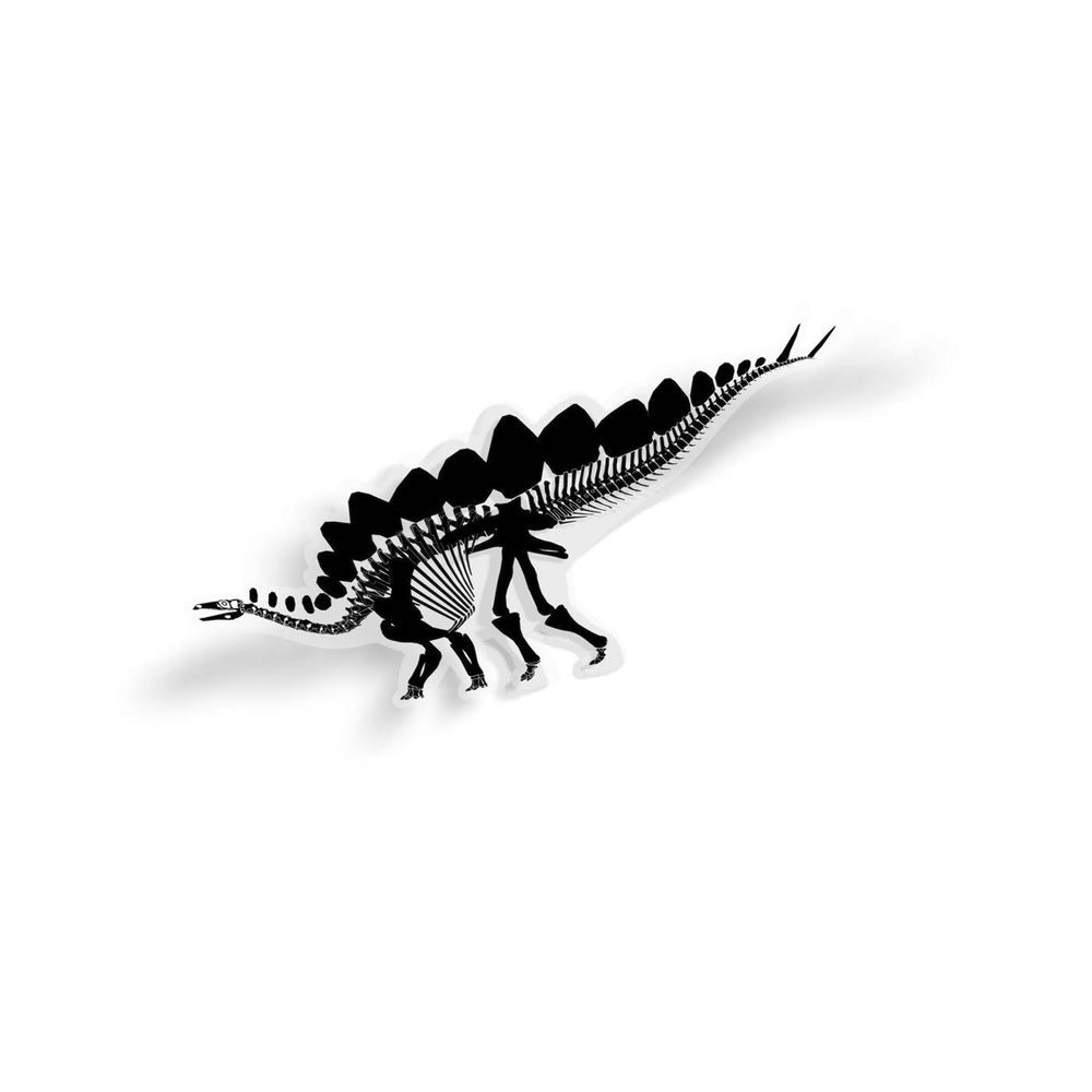Stegosaurus Fossil Dinosaur Sticker  - Permia