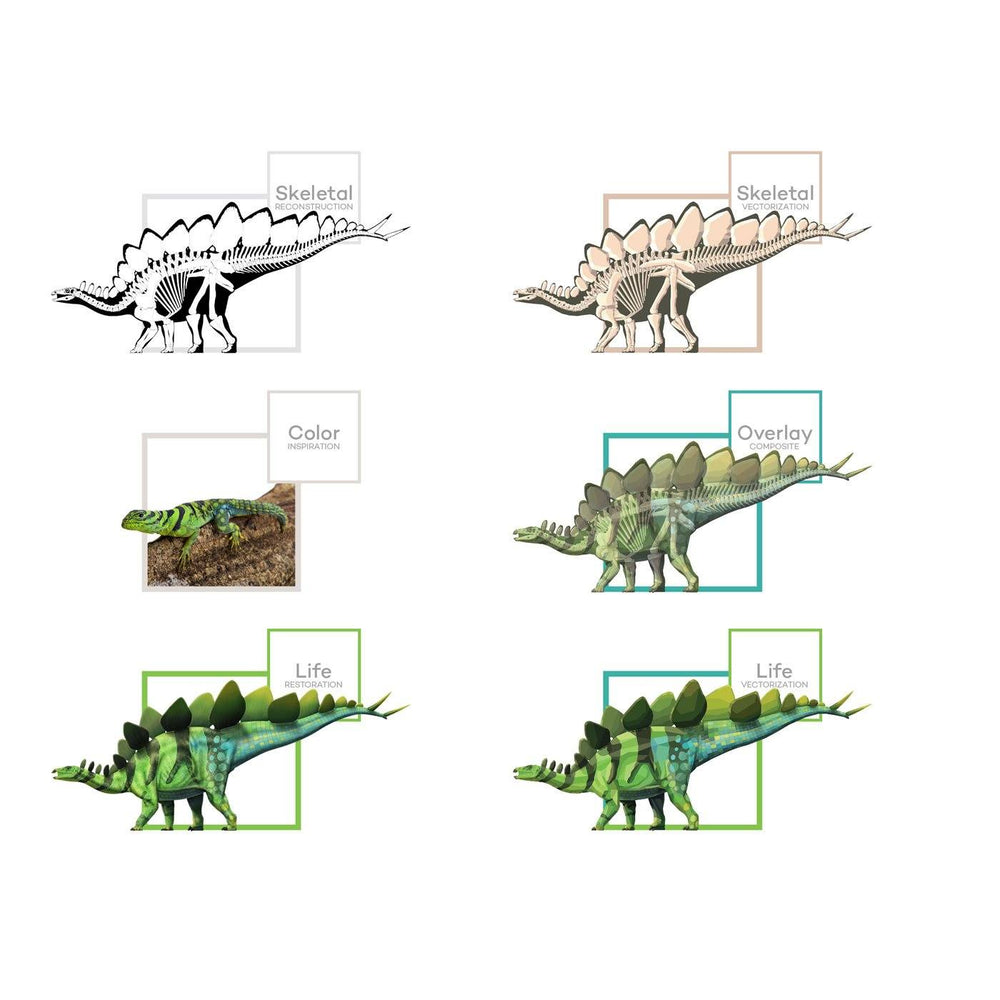 Stegosaurus Dinosaur Art Evolution  - Permia