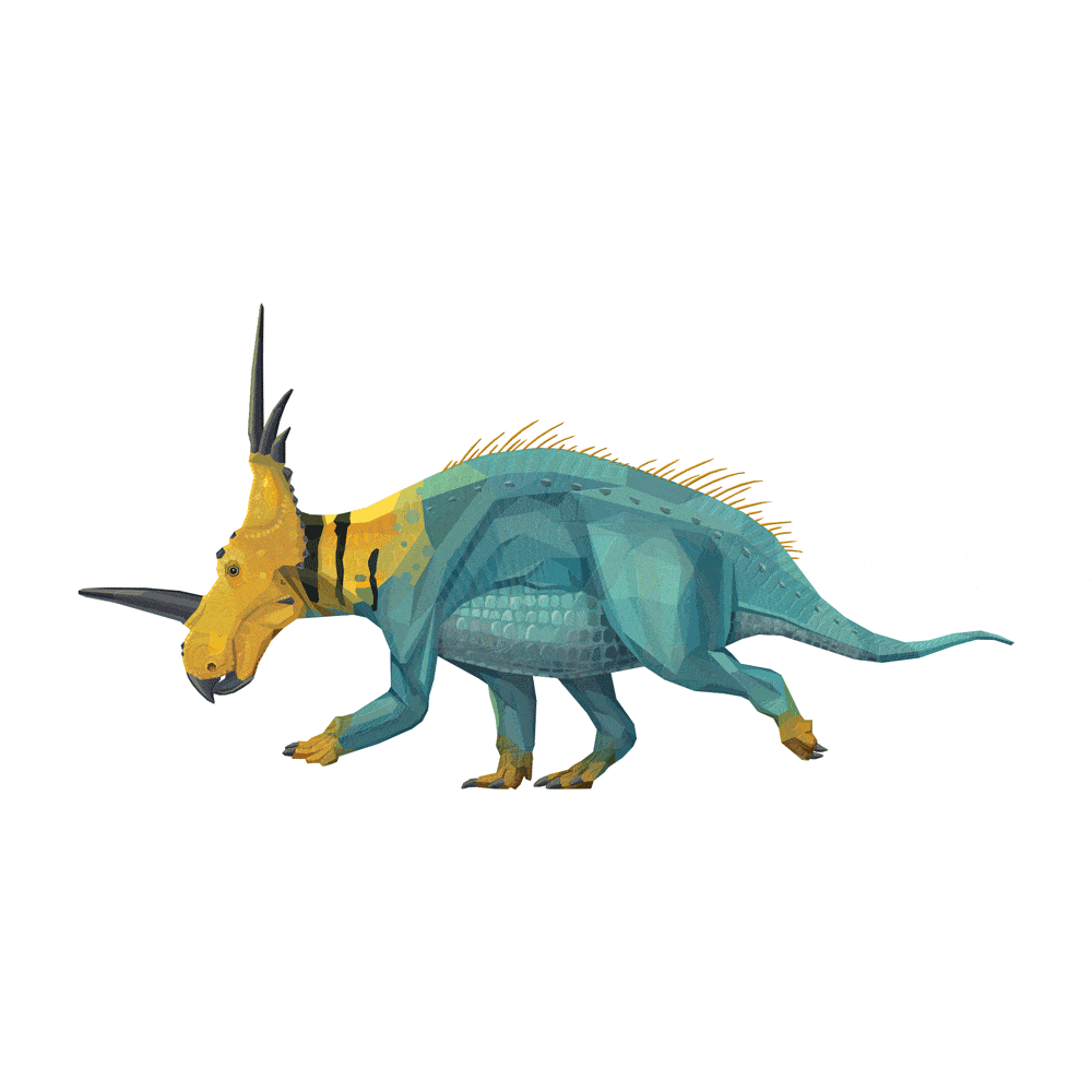 Styracosaurus X-Ray 3D Collectible Dinosaur Card  - Permia