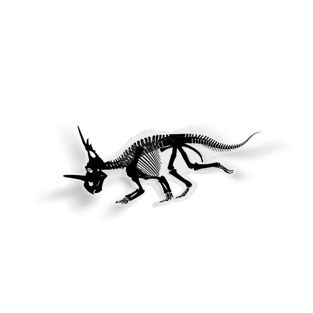 Styracosaurus Fossil Dinosaur Sticker  - Permia
