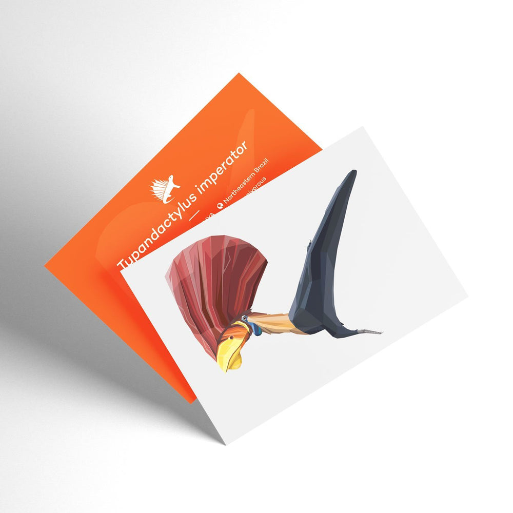 Tupandactylus X-Ray 3D Collectible Pterosaur Card  - Permia