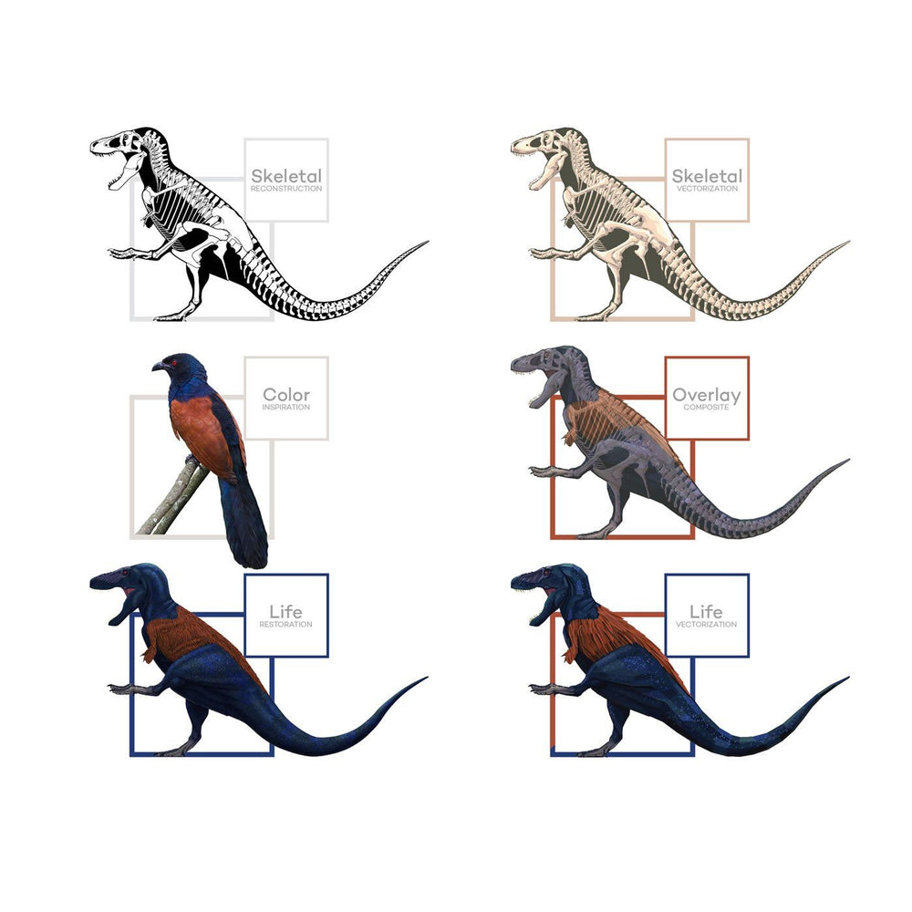 Tyrannosaurus Dinosaur Art Evolution  - Permia