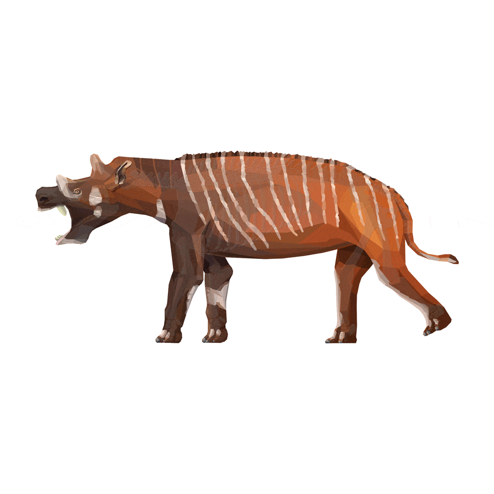 Uintatherium X-Ray 3D Collectible Mammal Card  - Permia