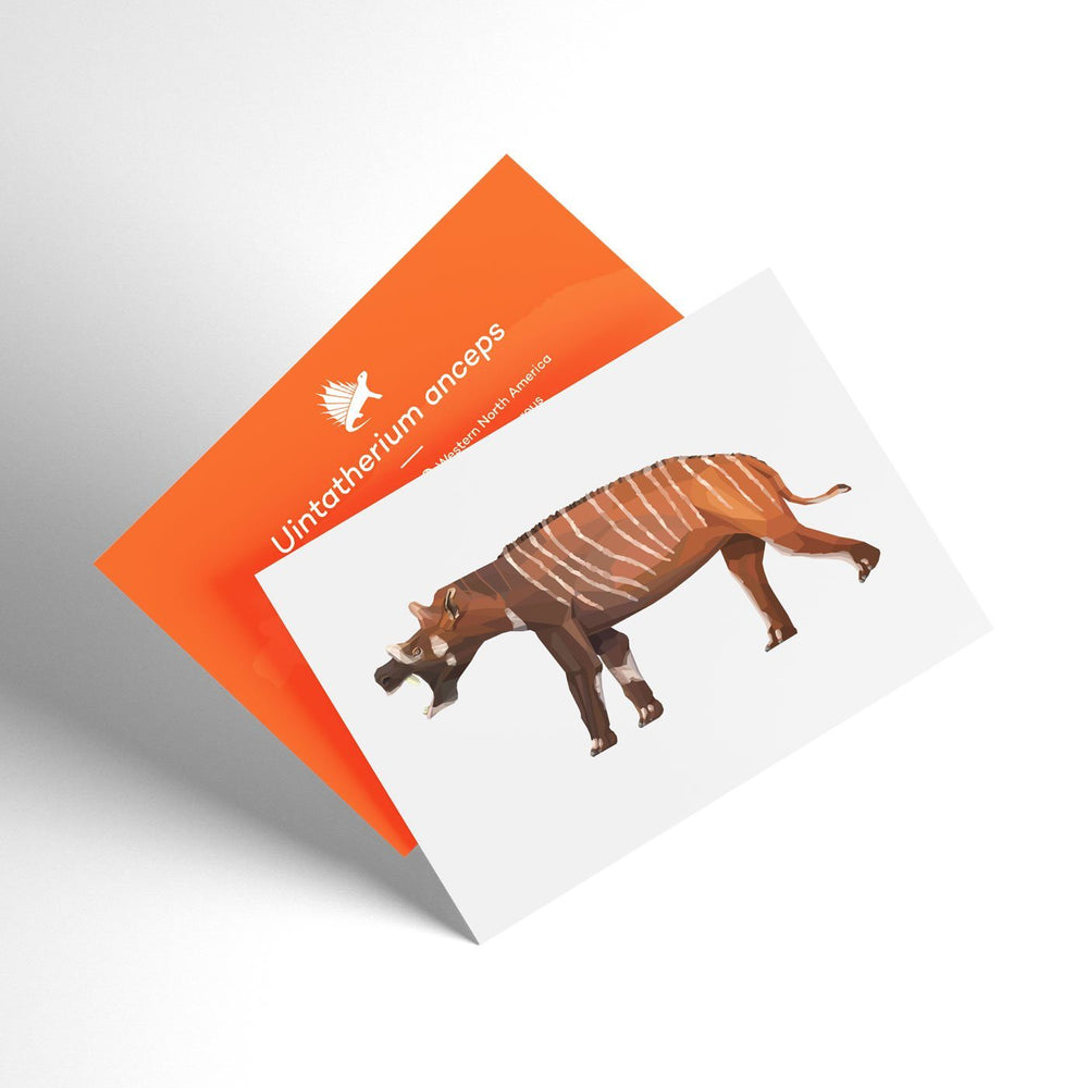 Uintatherium X-Ray 3D Collectible Mammal Card  - Permia