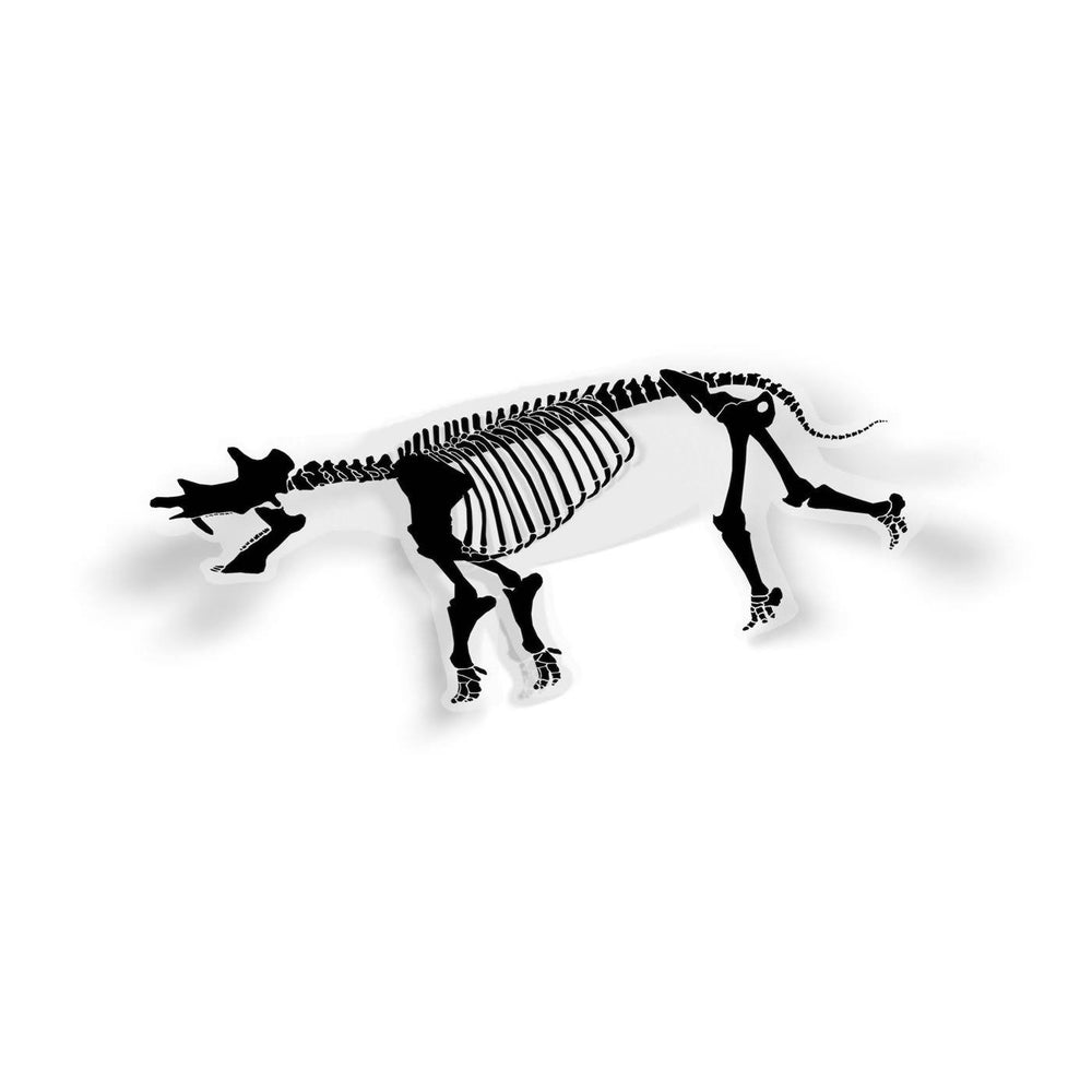 Uintatherium Fossil Mammal Sticker  - Permia