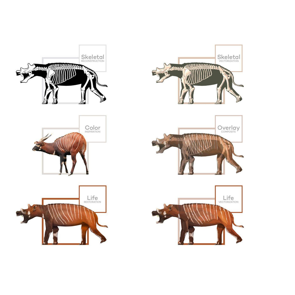 Uintatherium Mammal Art Evolution  - Permia